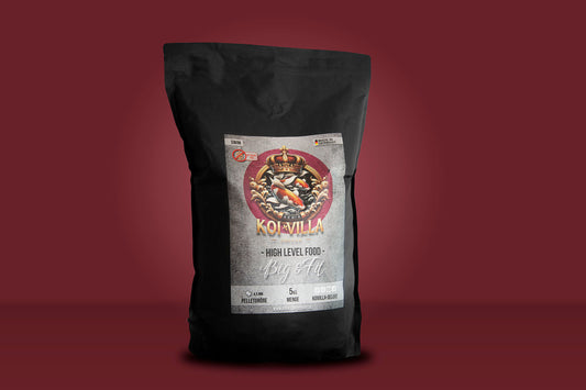 Big & Fit Futter 5kg